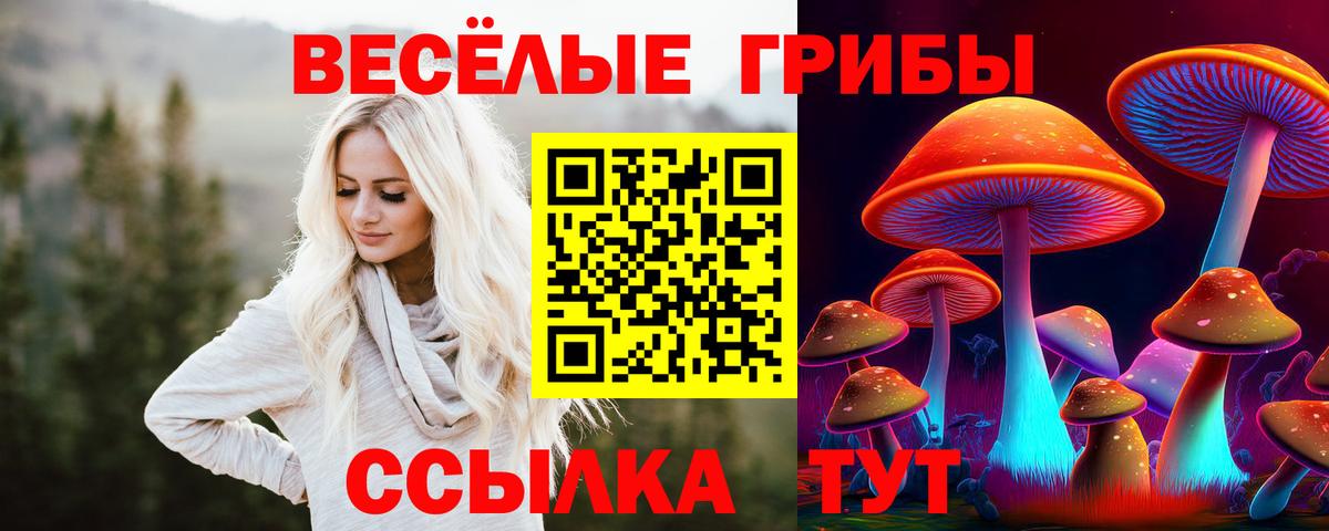 где можно купить наркотик  Псилоцибиновые грибы GOLDEN TEACHER  Приморско-Ахтарск  Вход с VPN  Псилоцибиновые грибы мицелий 